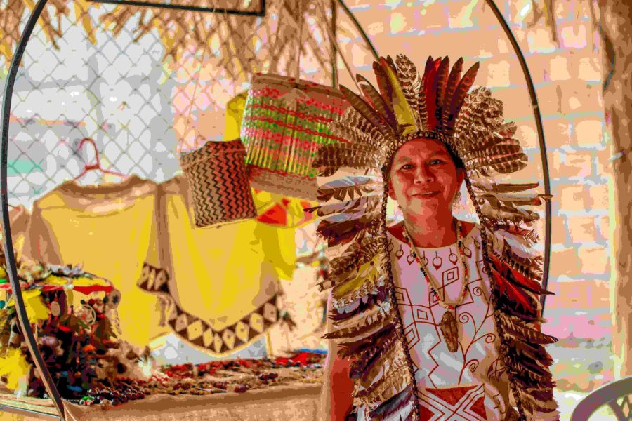 FEPIAM-ACAOSOCIALINDIGENA-NACOESINDIGENAS5
