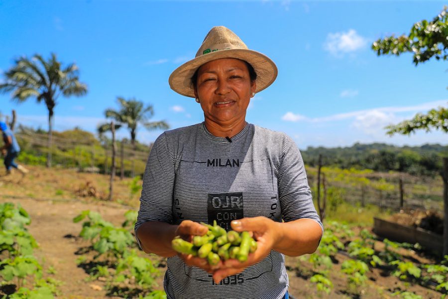 Produtora Rural Raimunda Caravalho 2