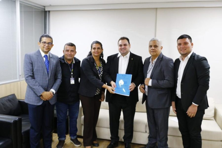 entrega de relatório aleam (1)